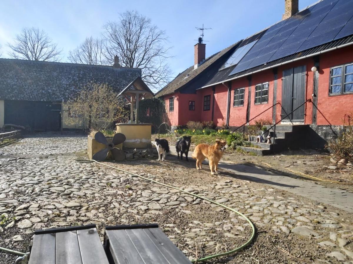 Bolshavnvej5 Bed & Breakfast Экстерьер фото